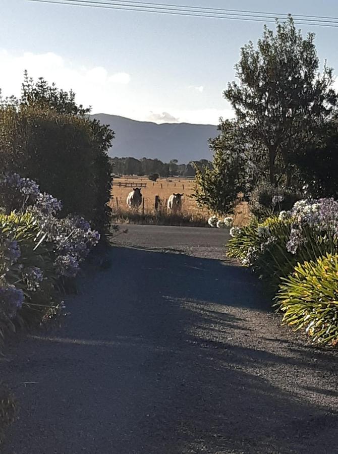 15 On Wards Bed & Breakfast Greytown Exterior photo